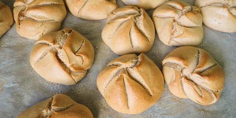 OLYMPUS DIGITAL CAMERA Backkurs