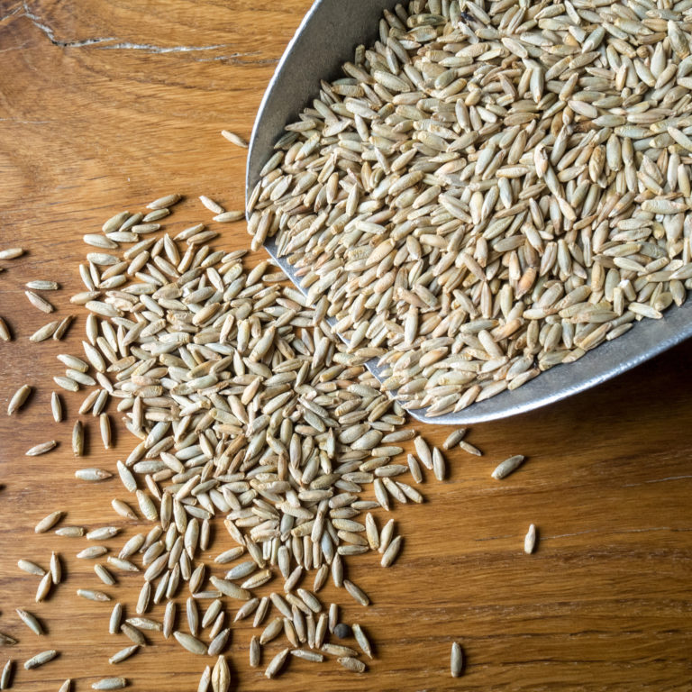 Getreidekorn Produkte Archive Thausing Naturkost