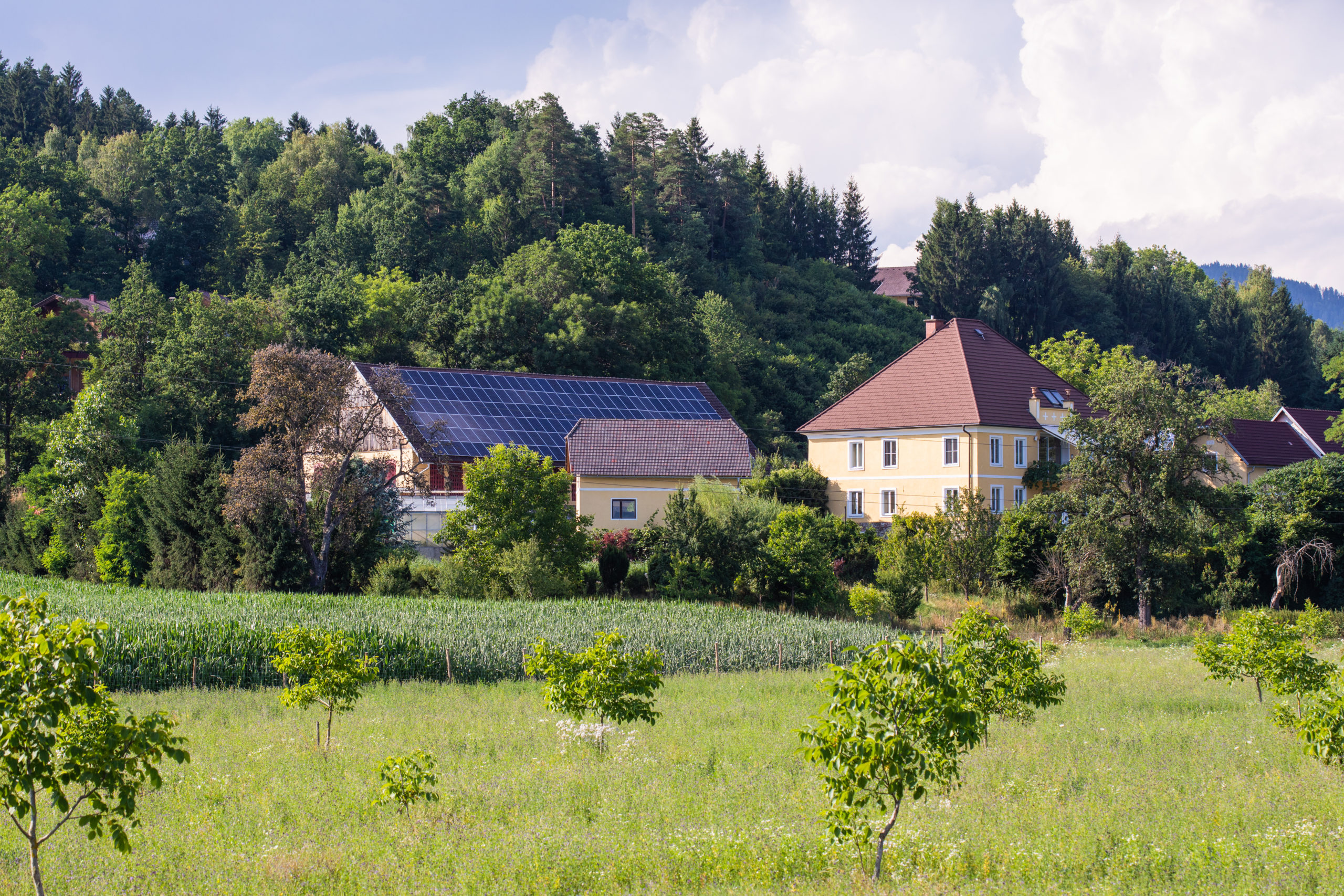 Der Merlinghof